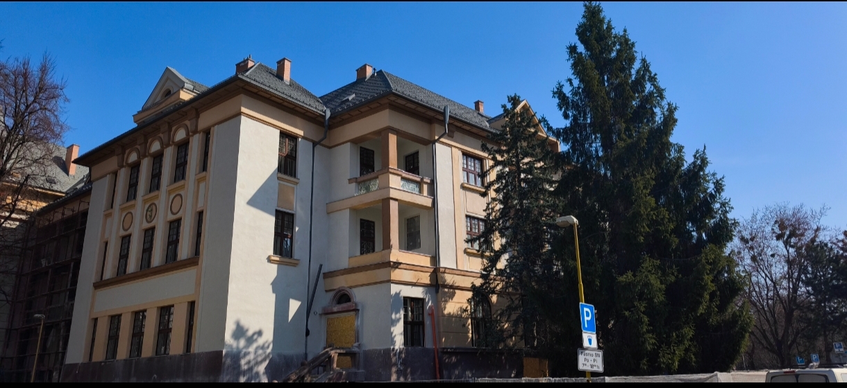 Slide Image